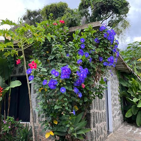 Recanto Das Mangueiras Ilhabela Ngoại thất bức ảnh